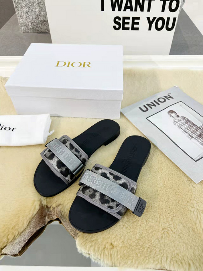 D1OR DIO EVOLUTION SLIDE