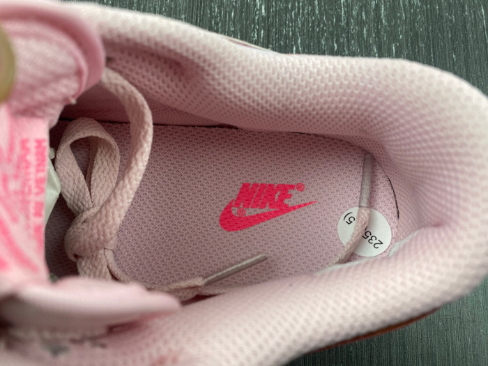 Nike SB Dunk Low PS 